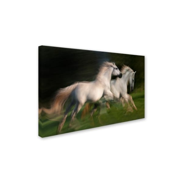 Milan Malovrh 'Gallop For Two' Canvas Art,30x47